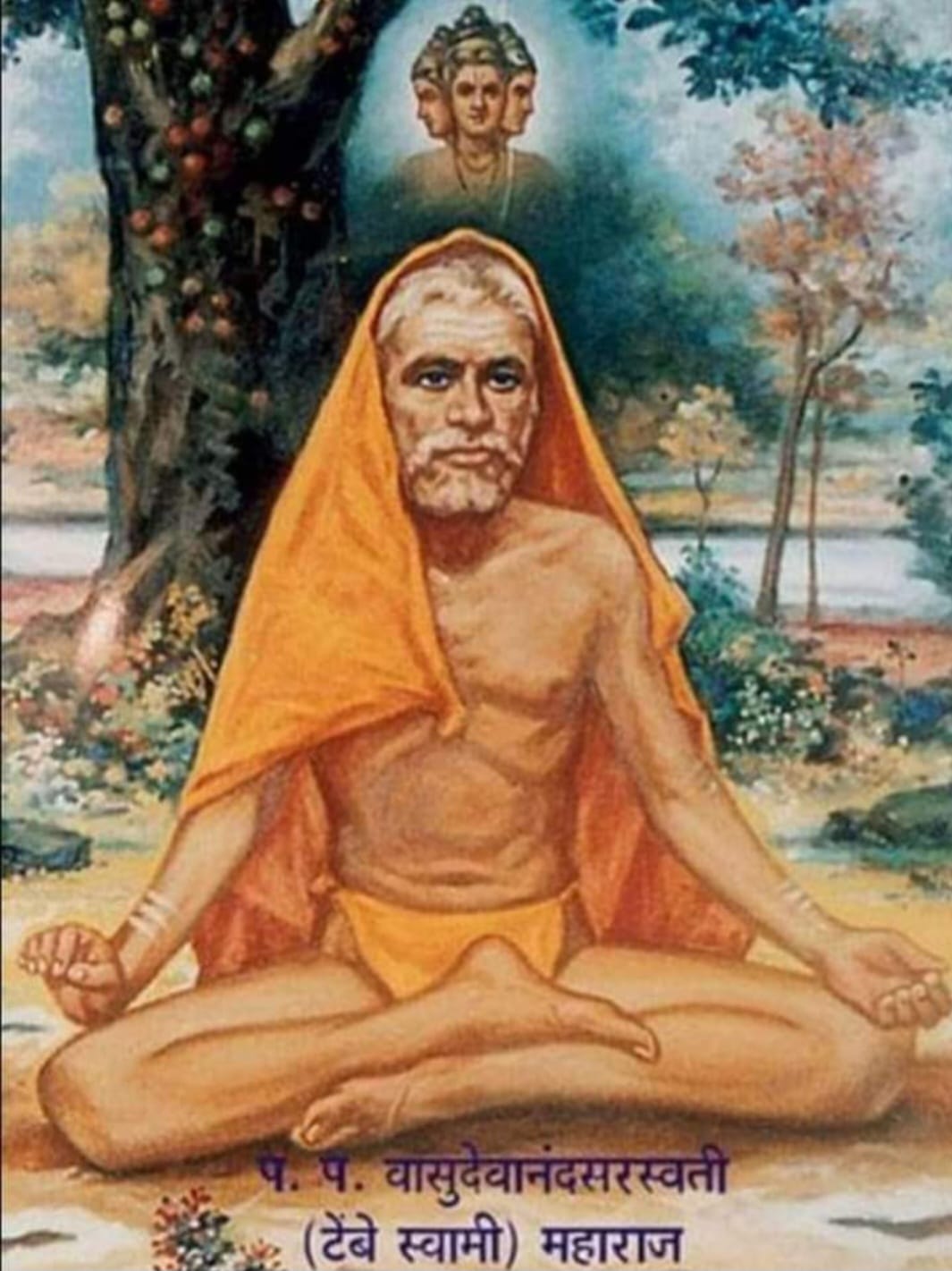 सद्गुरु श्री टेम्बे महाराज “13 अगस्त/जन्म-दिवस”