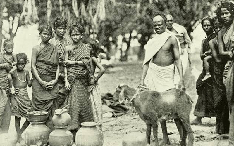 आखिर किसी ने तो ली घूमंतु समाज की सुध !