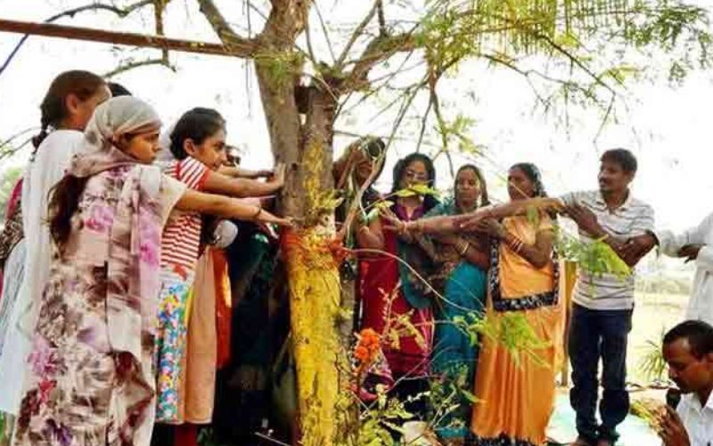 अनूठी लोक परम्परा / आमलकी ग्यारस मेला